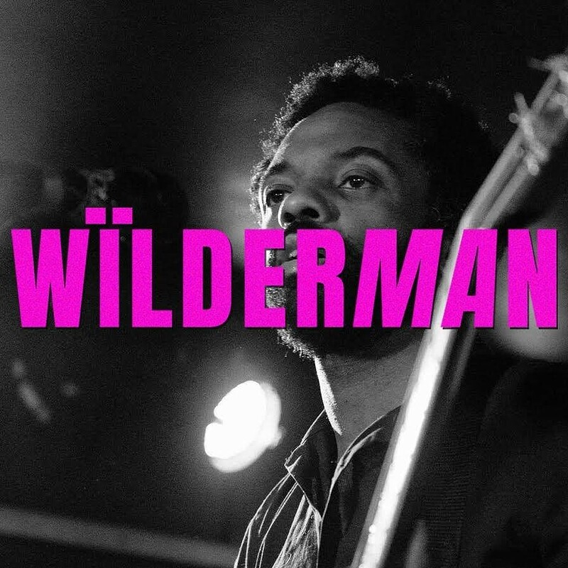 Wïlderman + FRASER + Daltonics at Mr Wolfs