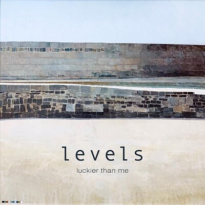 Levels + Lucky Douglas + Callum Ettrick at Mr Wolfs