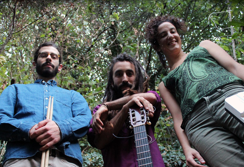 The Globo Collective at No.1 Harbourside