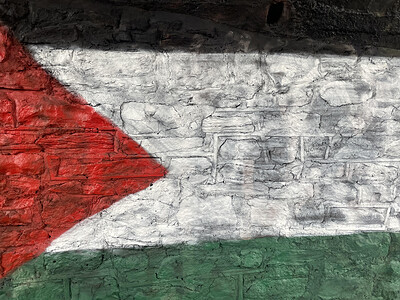 Voices from Palestine  - Online meeting at online event