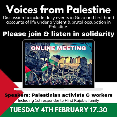 Palestine Voices at Online