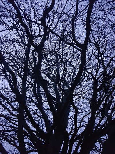 Moon Walk - walking guide at Outside - starting in Eastville Park
