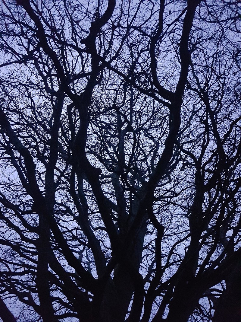 Moon Walk - walking guide at Outside - starting in Eastville Park