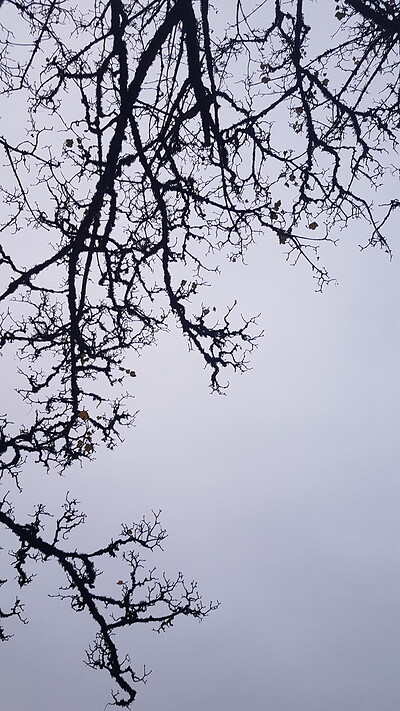 Full Moon Walks - December's walking guide at Outside