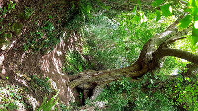 Full Moon Walks - June's walking guide at Outside