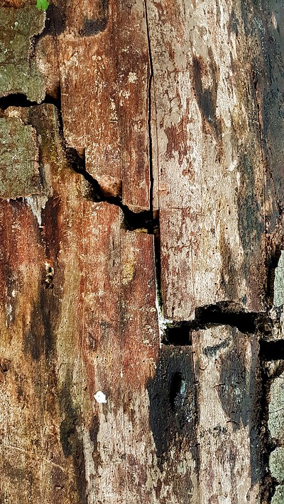 Full Moon Walks - September's walking guide at Outside