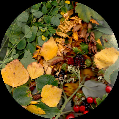 Full Moon Walks - September's walking guide at Outside