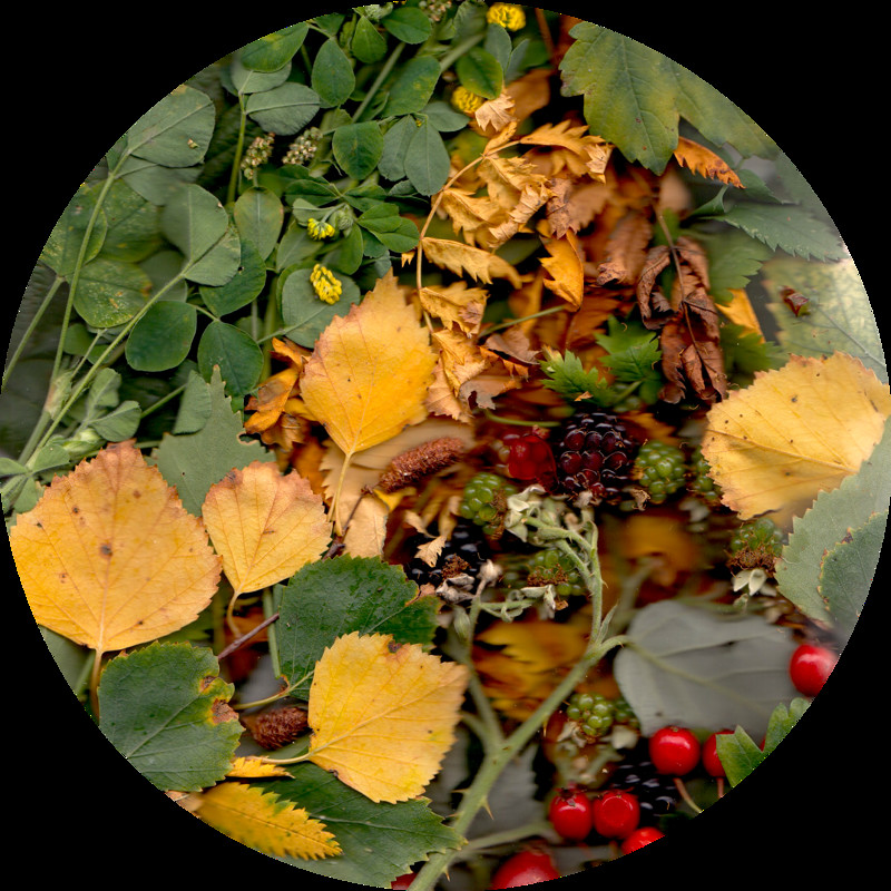 Full Moon Walks - September's walking guide at Outside