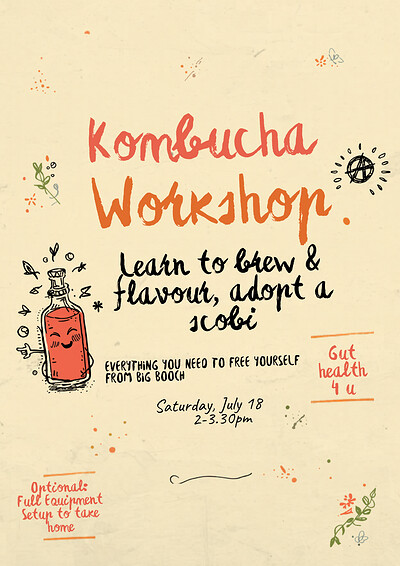 Homemade Kombucha Workshop at Phoebe's living room
