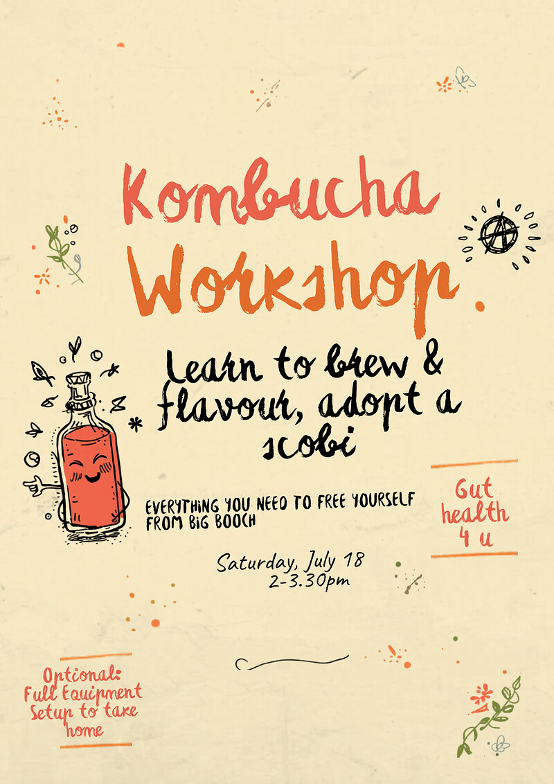 Homemade Kombucha Workshop at Phoebe's living room