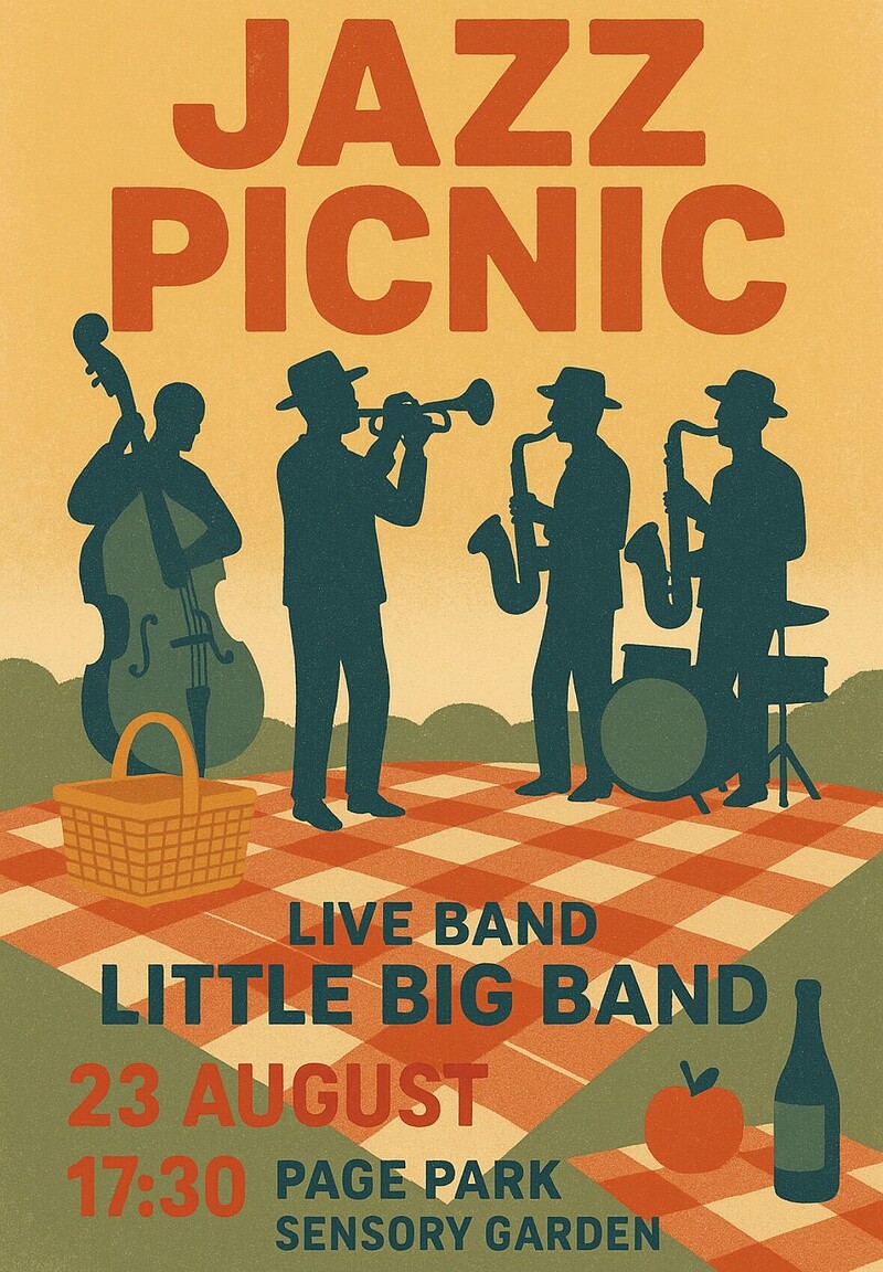 Picnic in the Park with Bristol Little Big Band at Picnic in the Park with Little Big Band