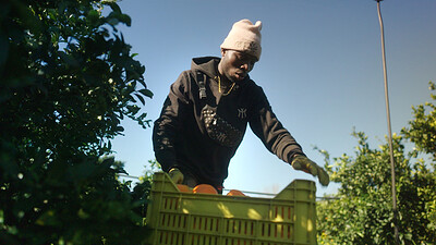 School of Activism Presents: The Pickers at PRSC