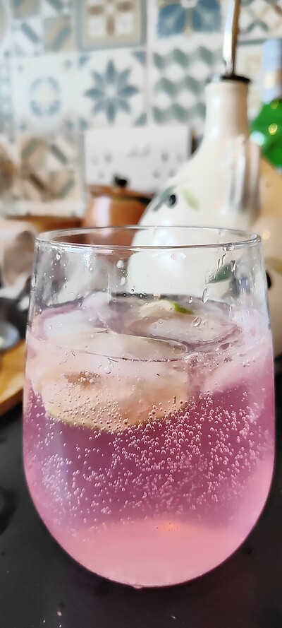 Nature Queerdos: Wildcrafted Soda at Redcatch Community Garden