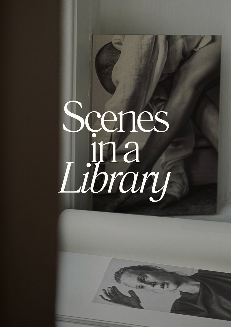 Scenes in a Library with Tom Lovelace + Christine Serchia at Serchia Gallery