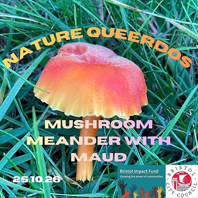 Nature Queerdos: Mushroom Meander with Maud at Snuff Mills