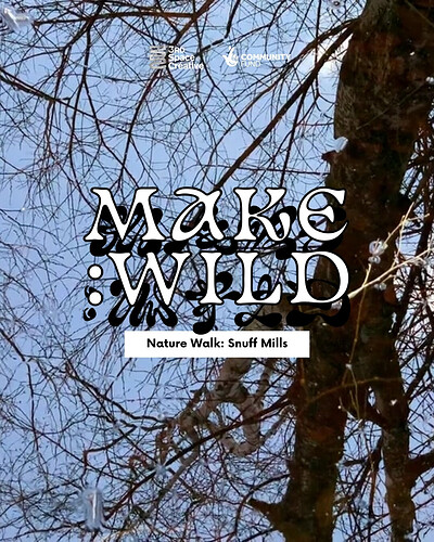 Snuff Mills Nature Walk / Make Wild at Snuff Mills