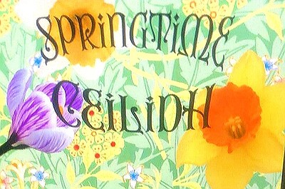 Spring Ceilidh Dance at SouthBank