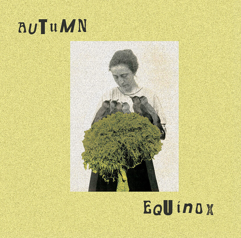 Autumn Equinox at Springfield Allotments