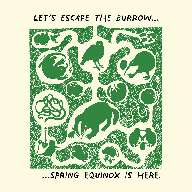 Spring Equinox at Springfield Allotments