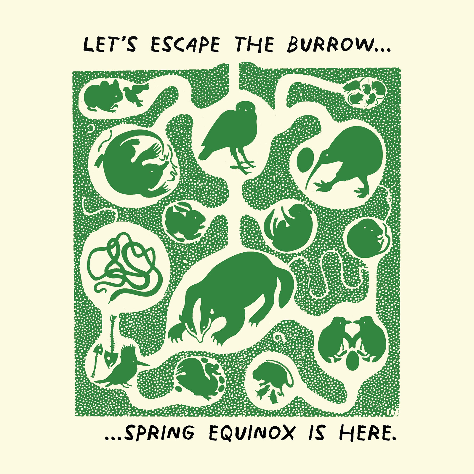 Spring Equinox at Springfield Allotments