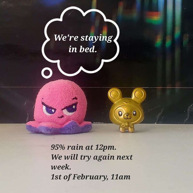 Dance Upon a City at St Anne's BS4 (route)