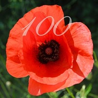 Armistice 100 - Eternal Light at St George's