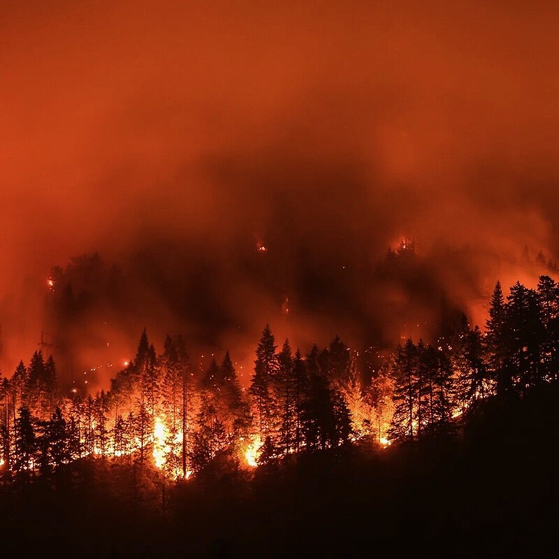 How to Stop Climate Catastrophe at St Pauls Learning Centre