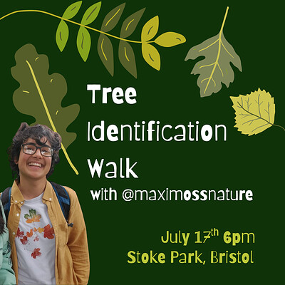 Tree Identification Walk at Stoke Park, Bristol
