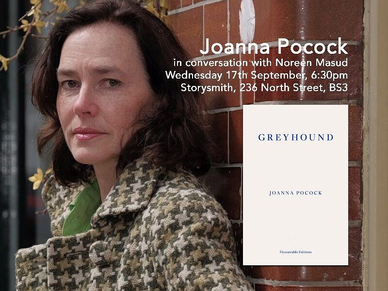 Joanna Pocock: Greyhound at Storysmith Books