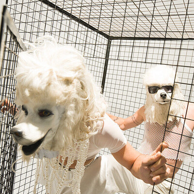 DOGSHOW  + special guests at Strange Brew