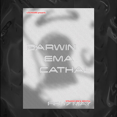 LOCKMARS: Darwin, EMA, Cathal at Strange Brew