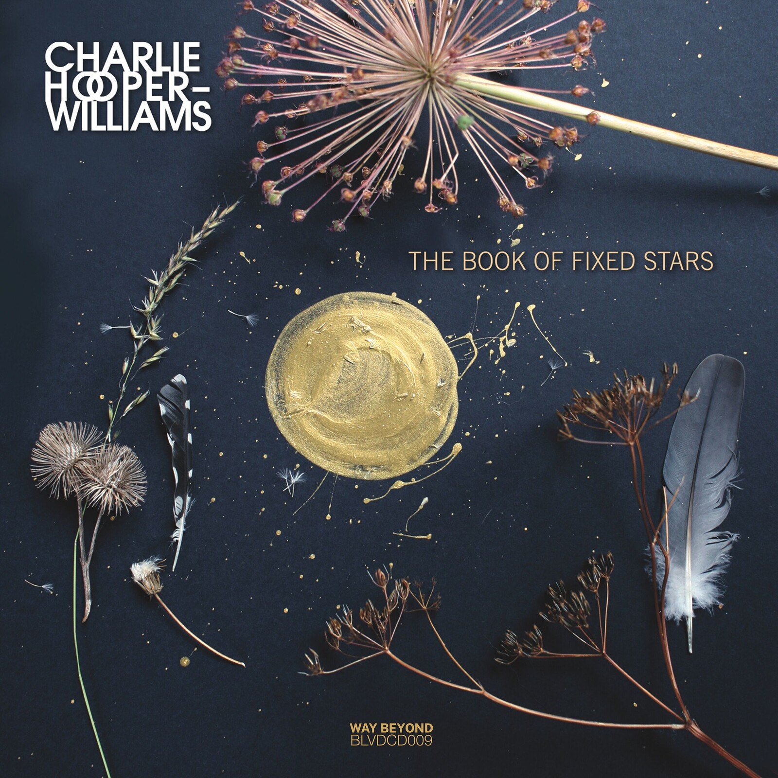 Album Launch Party — Charlie Hooper-Williams at Studio LX