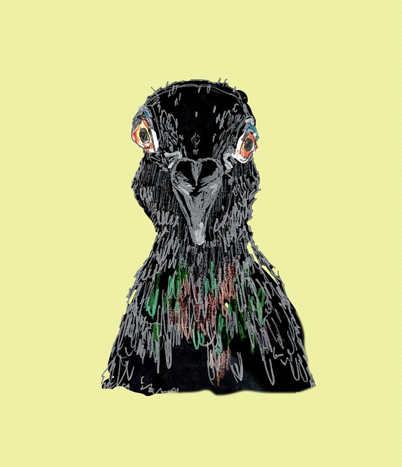 Pigeon Maiden: Workshops at Temple Church