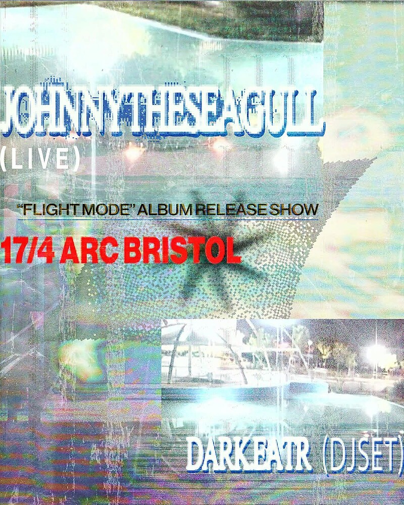 JohnnytheSeagull at The Arc
