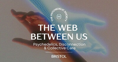 The Web Between Us at The Arc