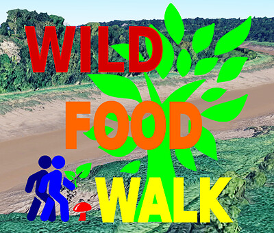 April Sea Mills  Wild Food Foraging Walk at The Avon Gorge