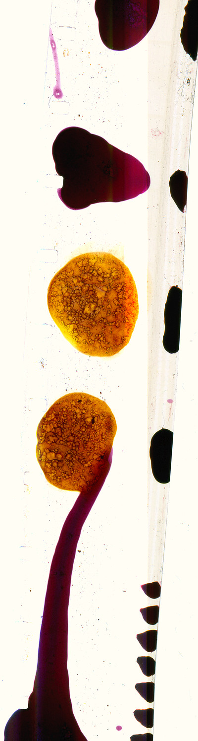 Experimental Animation Workshop, Sat 8th & Sun 9th at The Brunswick Club