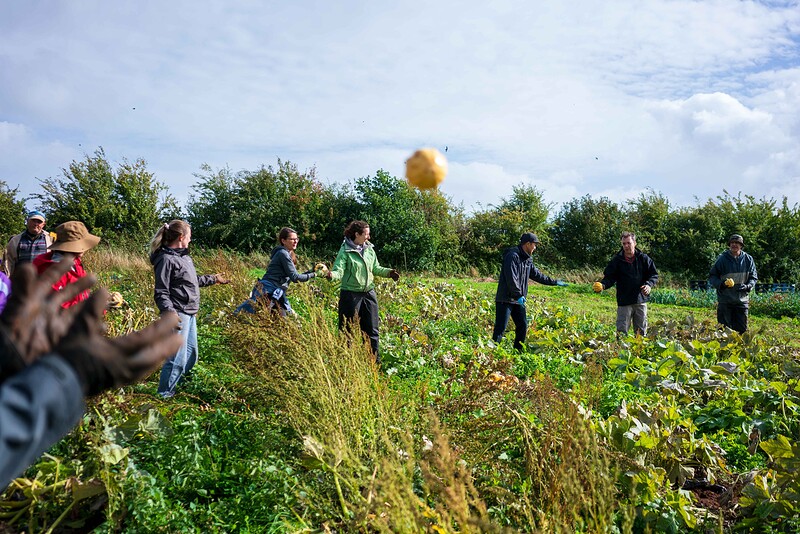 Community Farmer Day at The Community Farm