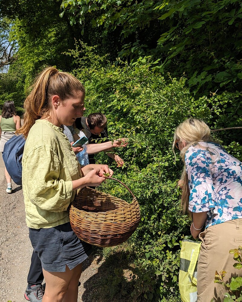 Forage & Make - Spring Tonics at The Community Farm
