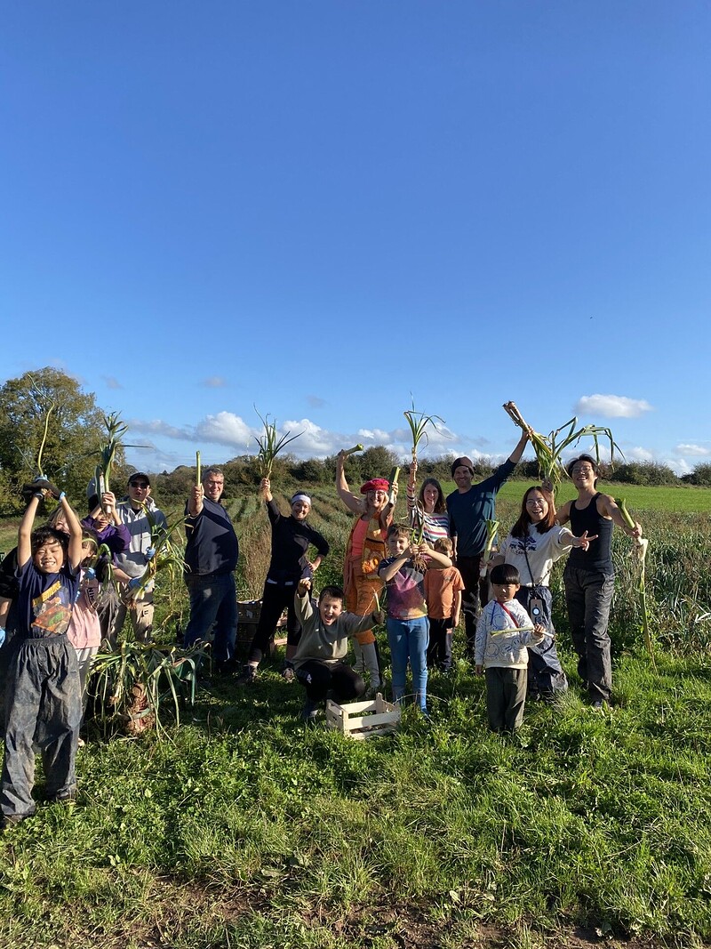 Volunteer Open Day at The Community Farm
