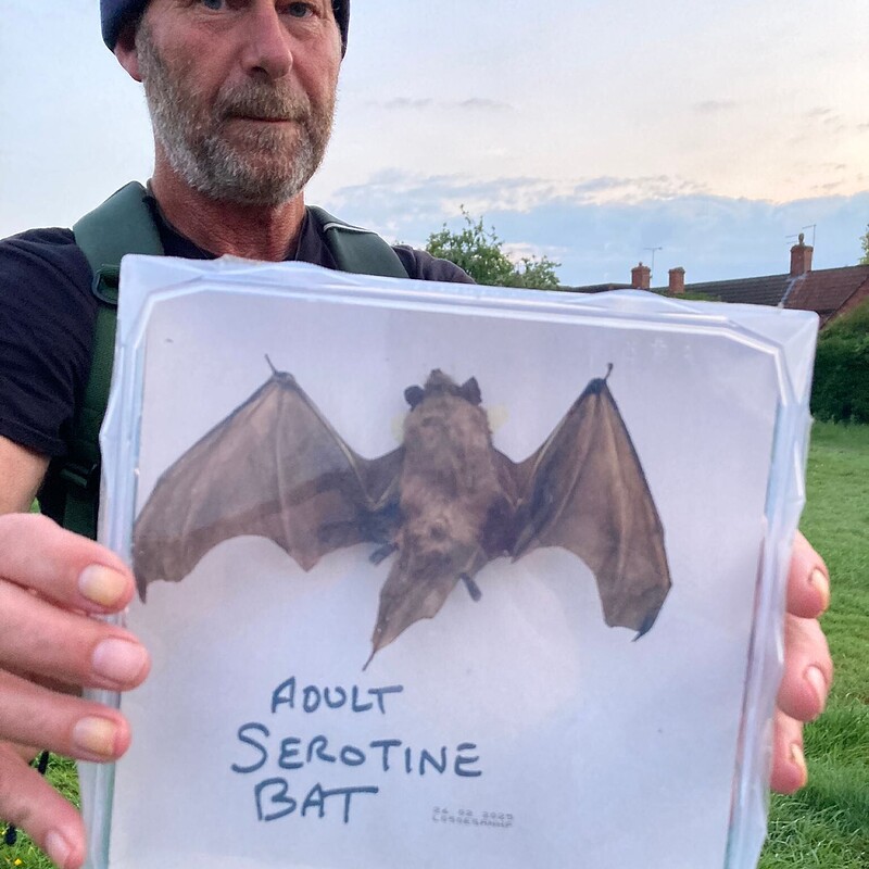 Made in Bonnington presents: Bat Walk with Steve England at The Community Orchard in Lockleaze, BS7 9UN. What3Words: ///apple.enable.joined