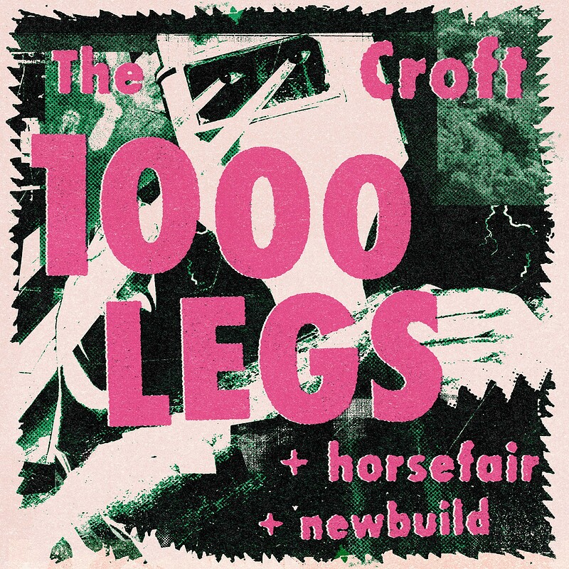1000 legs + horsefair + newbuild at The Croft