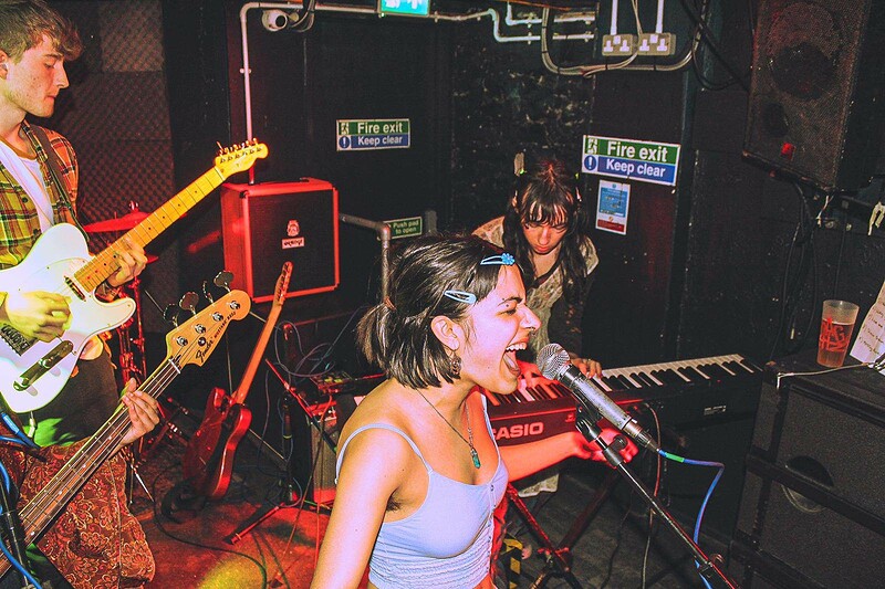 Alpaca Presents | ZENA + Support at Crofters Rights