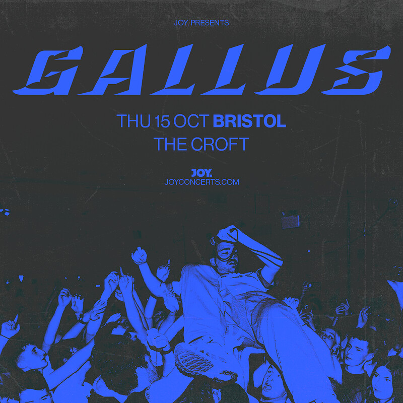 Gallus at The Croft