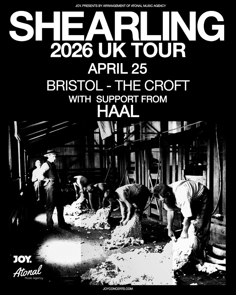 Shearling at The Croft