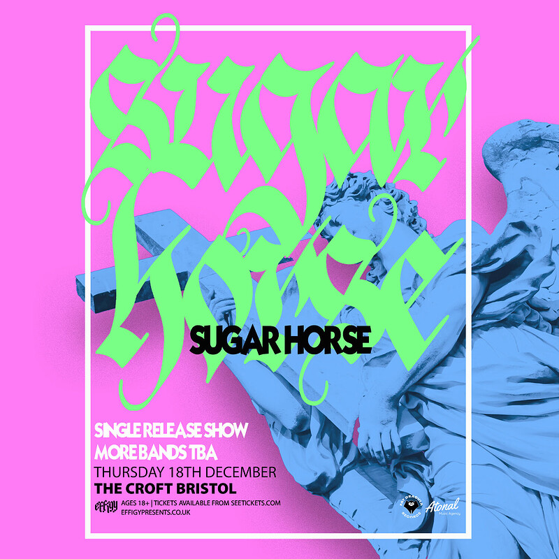 Sugar Horse at The Croft