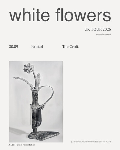 White Flowers at The Croft