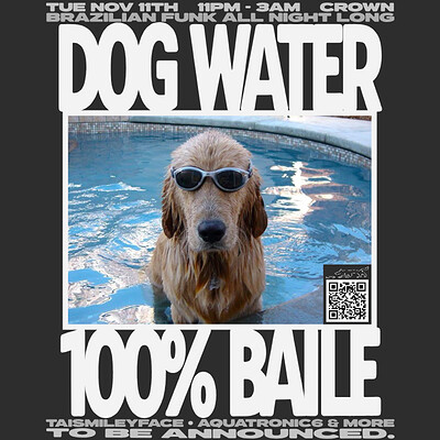 DOGWATER: TAISMILEYFACE, AQUATRONIC6 + MORE TBA at The Crown