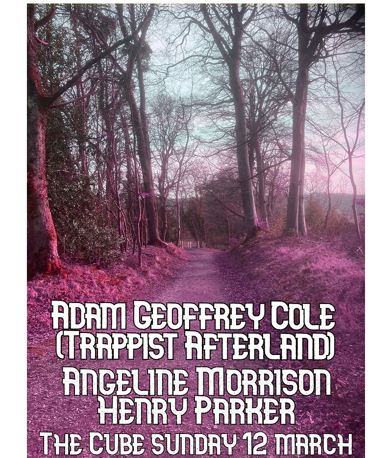 Adam Geoffrey Cole Angeline Morrison Henry Parker at The Cube