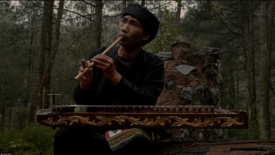 Forest Ecologies, Colonial Legacies at The Cube